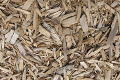 biomass boilers Tulkie